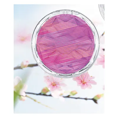 Hộp phấn PET cánh hoa – mã NXM0991